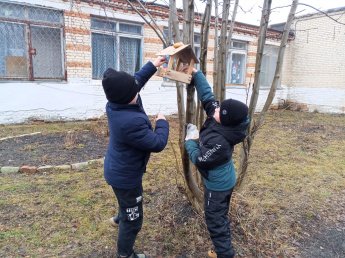 «Покормите птиц зимой»