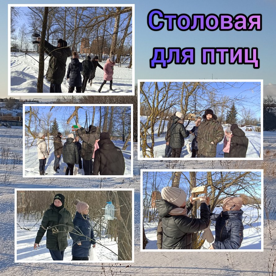 «Столовая для птиц»