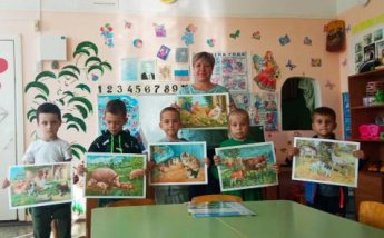 " Животные в осенний период"