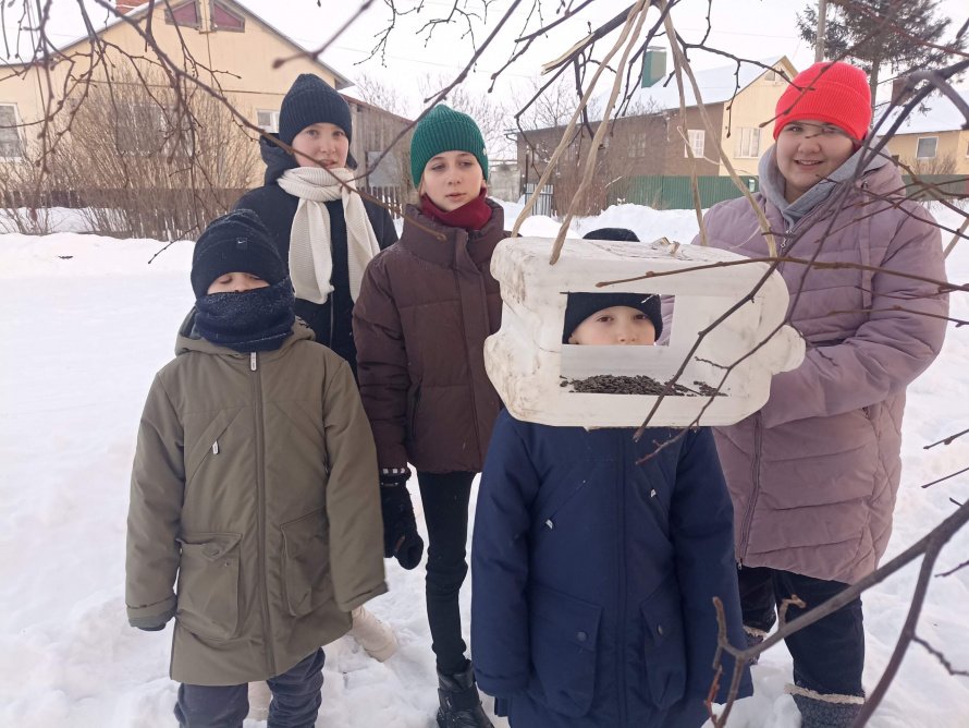 Час изобретений: Кормушка птичкам